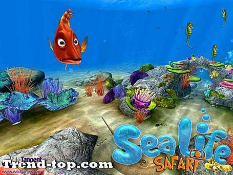 Nintendo DSのためのSealife Safariのようなゲーム アドベンチャーゲーム