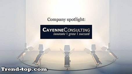 10 Cayenne Consultingの代替案